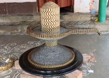Dhana Shiva Lingam made with ten rupee coins by Sai Teja