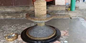 Dhana Shiva Lingam made with ten rupee coins by Sai Teja