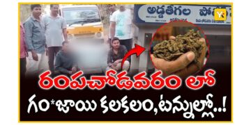 Police seizing cannabis and vehicles in Narsipatnam, Andhra Pradesh
