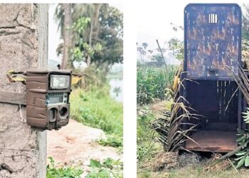 Forest officials intensify efforts to capture a tiger spotted near Rajahmundry as security and rescue teams remain on alert.