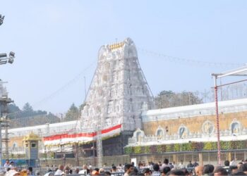 TTD laddoo prasadam ghee quality and tender process