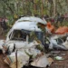 Redbird Airways air ambulance crash site in Chatra forest, Jharkhand