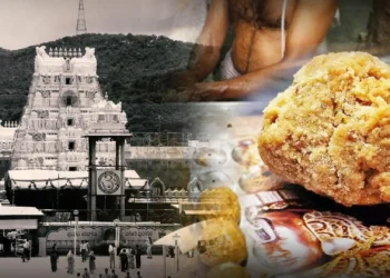 Former TTD Chairman YV Subba Reddy speaking on Tirumala laddu adulteration issue