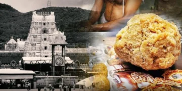 Former TTD Chairman YV Subba Reddy speaking on Tirumala laddu adulteration issue