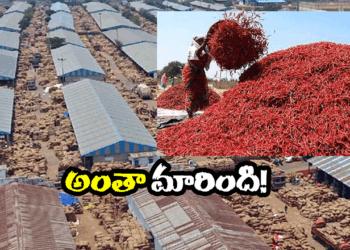 guntur (image credit:Twitter)