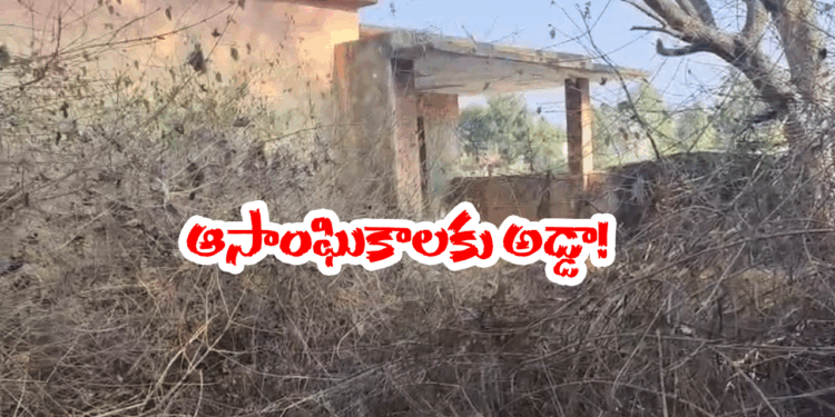 CHITTOOR (image credit:Twitter)