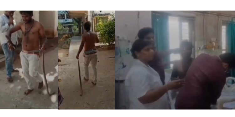Nellore man holding dead venomous snake after hospital arrival