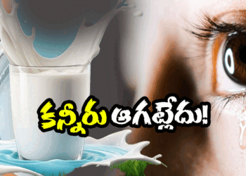 EAST GODAVARI (image credit:Twitter)