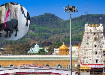 Police conduct search after Tirupati hotel bomb threat